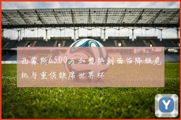 西蒙斯6500万加盟热刺面临降级危机与重伤缺席世界杯